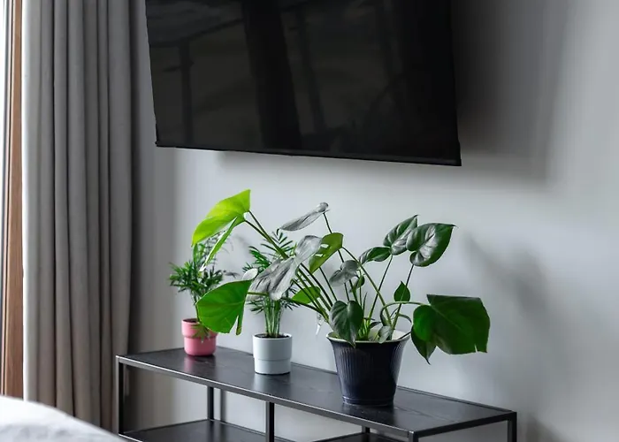 Wenecja By Fred&moris Apartament